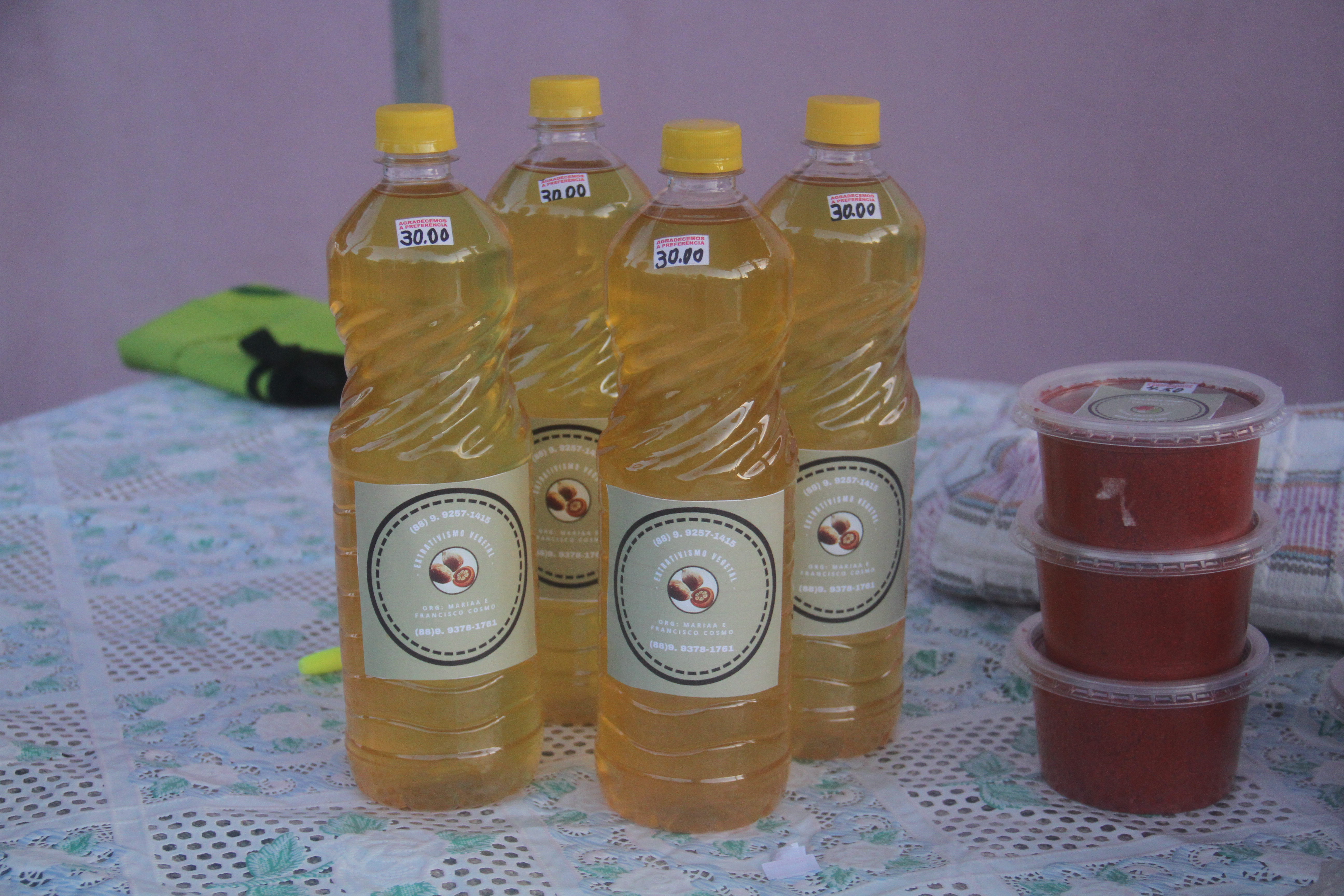 carrapatocultural.com 